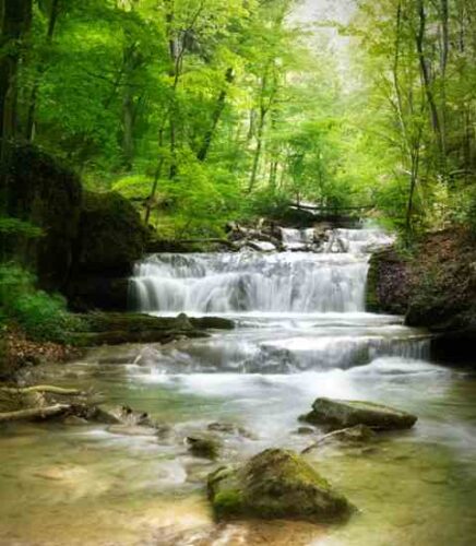 Spiritual Ecology of the New Planet: Seeing Nature as More Than a Resource